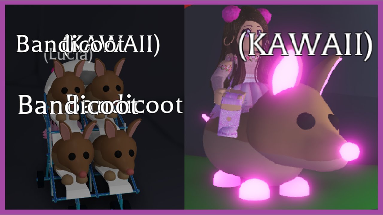 Cuido Mis 4 Bandicoot Y Los Convierto En Neon Increible - hacemos ornitorrinco neon adopt me roblox