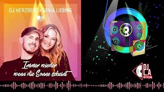 DJ L A  Official - Immer wieder wenn die Sonne Scheint Remix