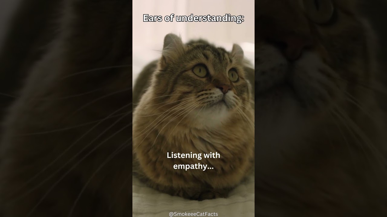 Feline Fortune Cookies: Empathetic Ears 