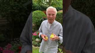 Videoprojekt Der Seniorenarbeit Herr Von Ribbeck Auf Ribbeck Im Havelland Theodor Fontane