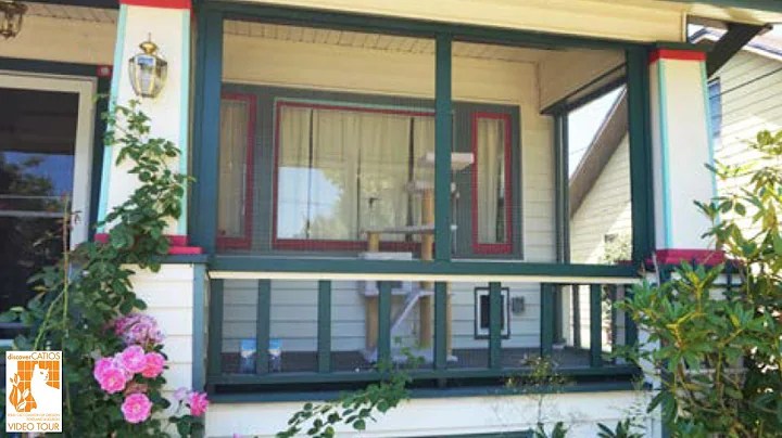 Enclosed patio: Purrfect Porch