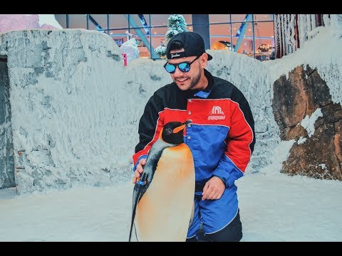 Things to do in Dubai – Ski Dubai