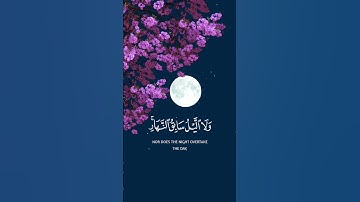 لا الشمس ينبغي لها أن تدرك القمر ولا الليل سابق النهار، وكل في فلك يسبحون | سورة يس | ياسر الدوسري 👀