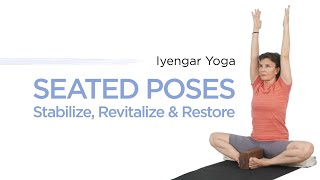 Iyengar Yoga Seated Poses: Stabilize, Revitalize & Restore screenshot 3