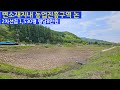 면소재지내 진흥구역 논 1,530평 평당8만원#괴산토지매매,#괴산전원주택매매,#괴산부동산#괴산복덕방아저씨 #괴산중원부동산