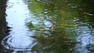 mixkit rain falling on the water of a lake seen up 18312 large