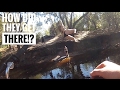 Pit Bike Adventures #1 | RANDOM GIRLS SWIMMING IN THE WOODS!