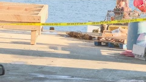 Bomb squad detonates 