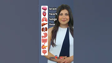 Human Body Internal Organs - English Vocabulary