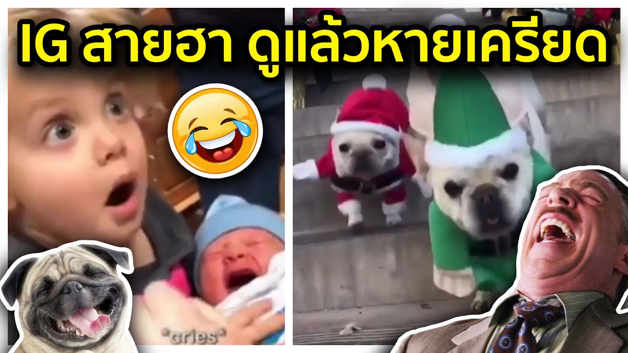 7 IG ฮากระจาย ดูแล้วคลายเครียด