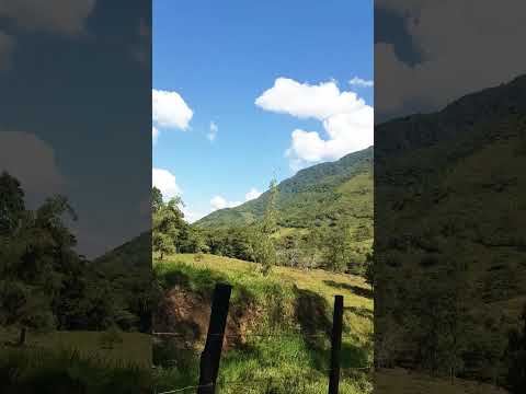 Caminata a Río Tigre en Oxapampa - Selva @pkd46