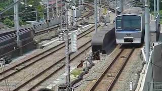 [警笛2回あり]相鉄本線 8000系8701F 各停 西谷駅付近通過