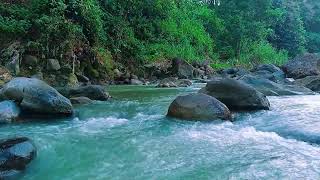 Calm Background Sounds for Lunch Break Relaxation