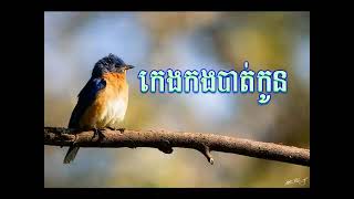 កេងកងបាត់កូន  _ រស់សេរីសុទ្ធា៚