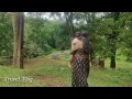 #shorts Topslip Parambikulam Nature View @Sangeethasamayalvlogs