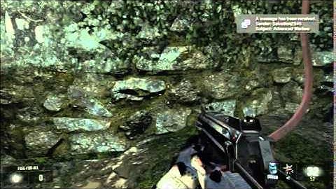 Advanced Warfare Instinct Glitch