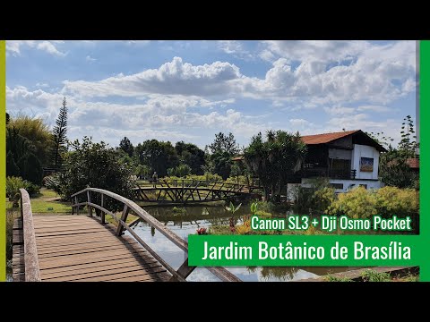 Vídeo: Descrição e fotos do jardim botânico (Botaniskais darzs) - Letônia: Riga