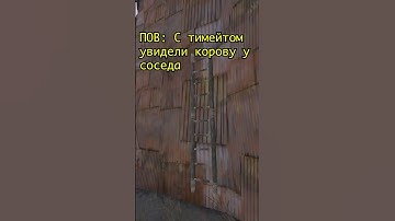 Жиза) #rust #rustgame #растигра #раст