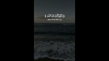 سورة الزمر - عبدالرحمن الرشود