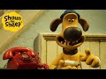 Shaun the Sheep 🐑 What the Dog Doing? - Cartoons for Kids 🐑 Full Episodes Compilation [1 hour]