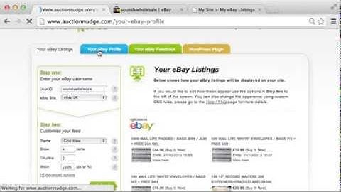 An Introduction To Auction Nudge - eBay On Your Website