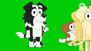 Bluey Stampede Green Screen From And