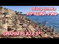 Sharm Plaza 5*. Обзор пляжа до мелочей. Лучший риф в Шарм-эль-Шейхе. Красивые кораллы и рыбки.