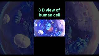 Amazing 3d View of Human Cell #shortsfeed #shorts #cell #humananatomy #anatomy #cellphysiology