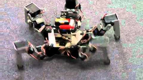 The 2nd KONDO Land Multi-Legged Robot Obstacle Race, Gonbei