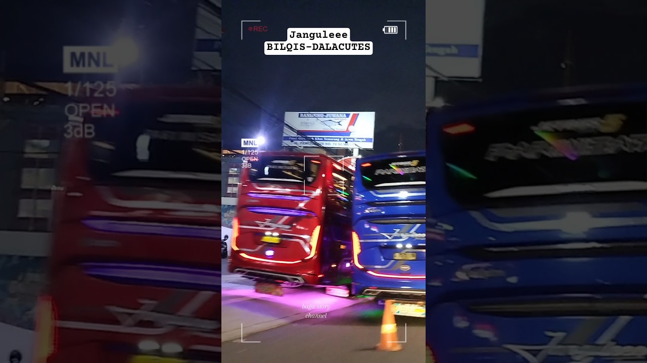 Janguleee 'BILQIS x DALACUTES' 