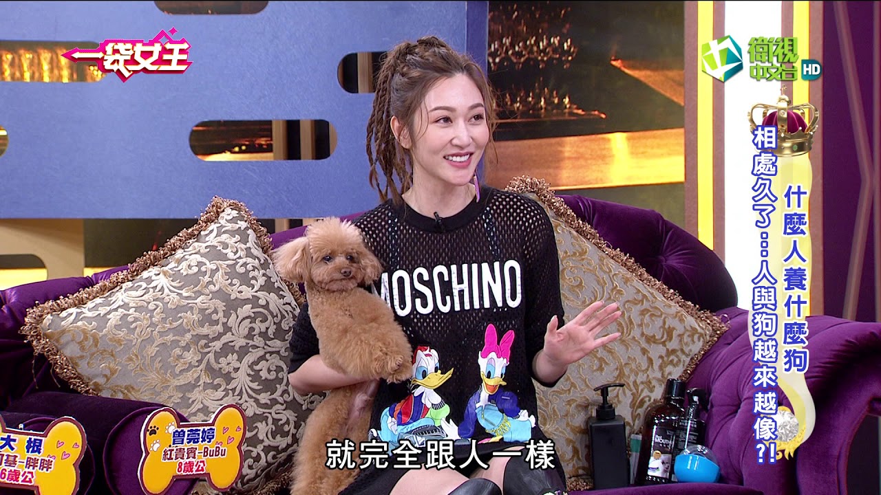 一袋女王 官方正版 20181204    什麼人養什麼狗    相處久了...人與狗越來越像?!