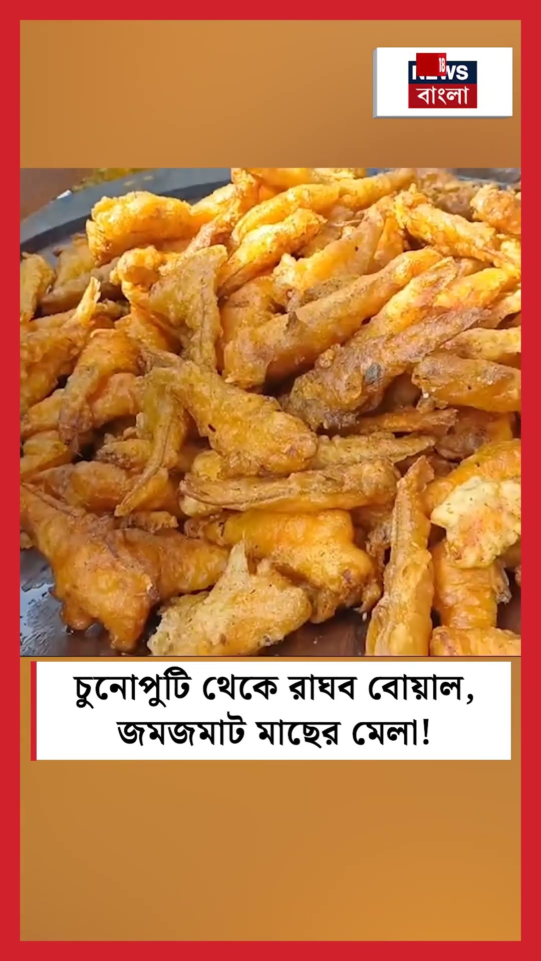 চুনোপুটি থেকে রাঘব বোয়াল, Hoogly তে জমজমাট মাছের মেলা! #shorts
