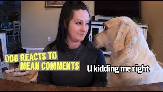 Dog Reacts To Mean Comments