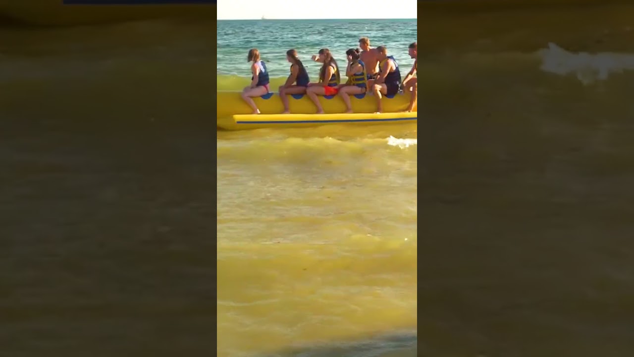 Best Ways to Have Fun in Southwest Florida
