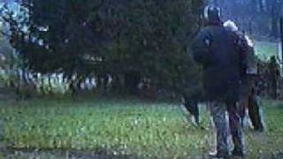 Rottweiler Maike Vom Wolfsberg Bester Hund Bei Der Ztp 2004