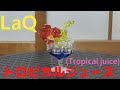 【LaQ（ラキュー）・クリスタル】トロピカルジュース Tropical juice