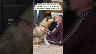 Жесть! Собака Покусала Жену