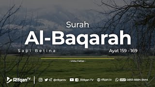 Surah Al-Baqarah Ayat 159 - 169 Umbu Farhan