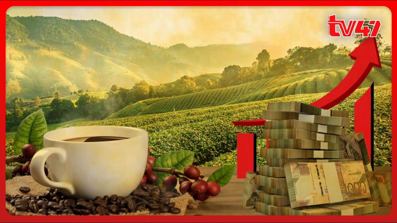 Kenya targets global coffee market with specialty beans and value addition