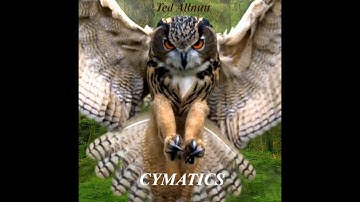 Ted Allnutt  -  Symatics