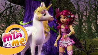 Mia and me  The Wizened Woods  Season 1  Episode 14