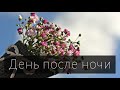 День после ночи I Русавуки