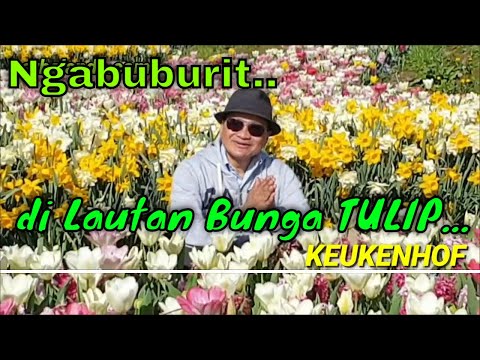 Video: Adakah April pertengahan musim bunga?