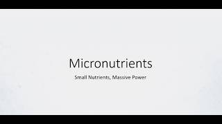Nutrition Basics 5: Micronutrients Explained