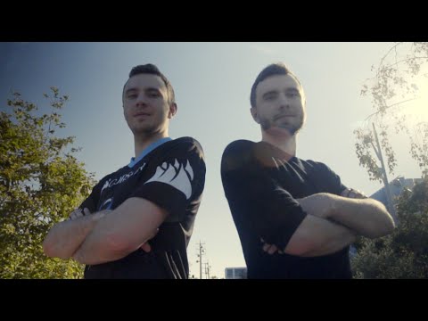 Closer Look: Porpoise and CheesdBeluga