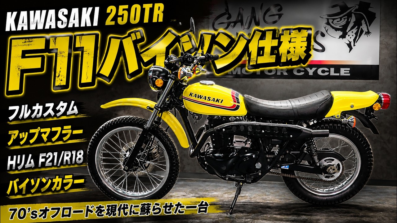 ビンテージオフロード好きも納得!?カワサキ250TR(FI車) F11バイソン仕様カスタム(BJ250F)フルコンプリートカスタム!販売車両紹介!