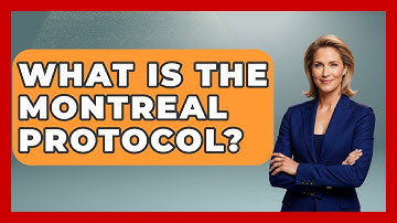 What Is The Montreal Protocol? - Learn About Economics