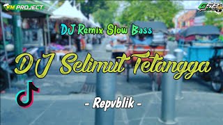 DJ Selimut Tetangga (Mana mungkin selimut tetangga) - Repvblik - Slow Bass BY FM Project