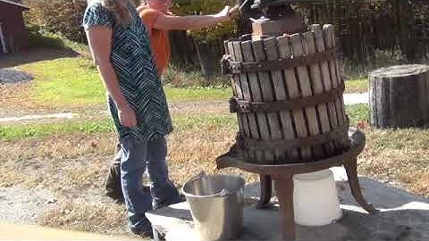 Apples 4: Apple Cider