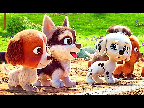 Как маленькие щенки стали Щенячьим патрулем 🐕❤️ | Щенячий патруль: Динофильм | отрывок